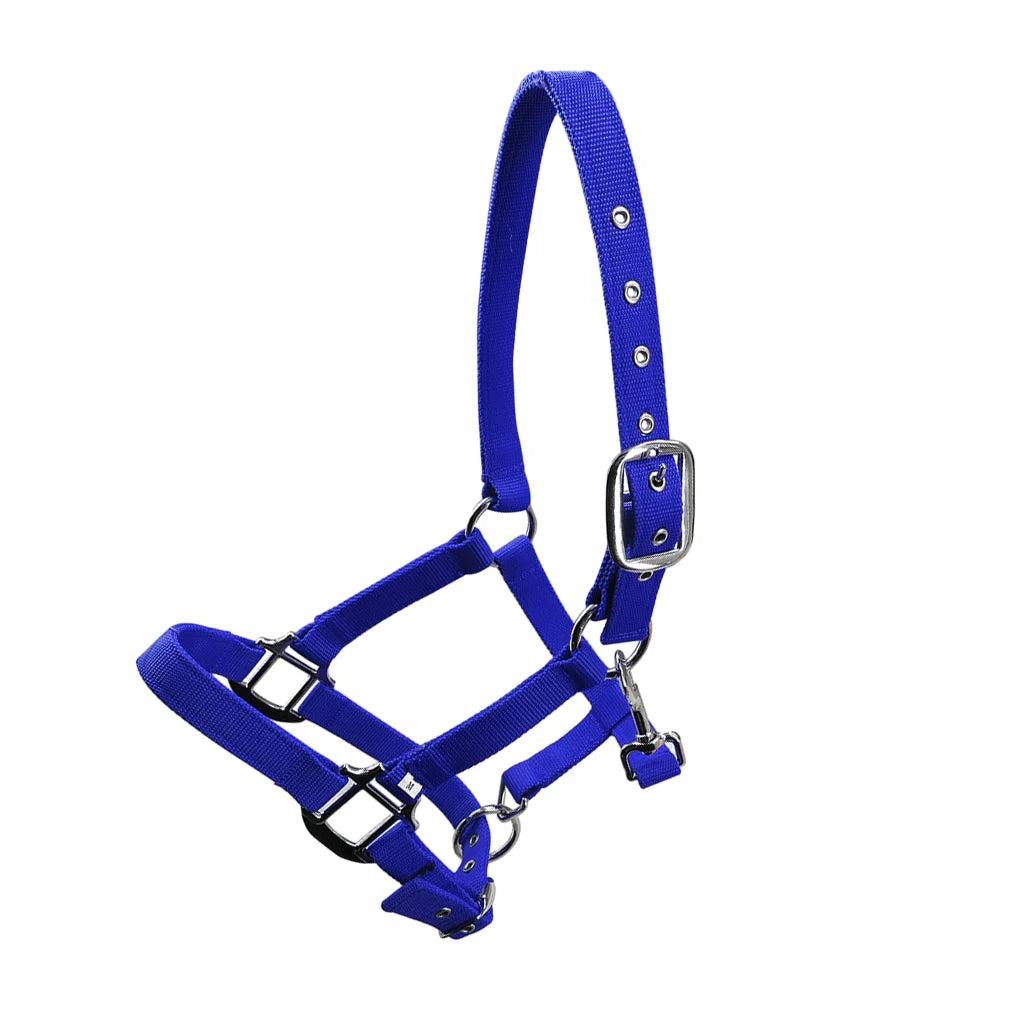 Padded Halter Horse