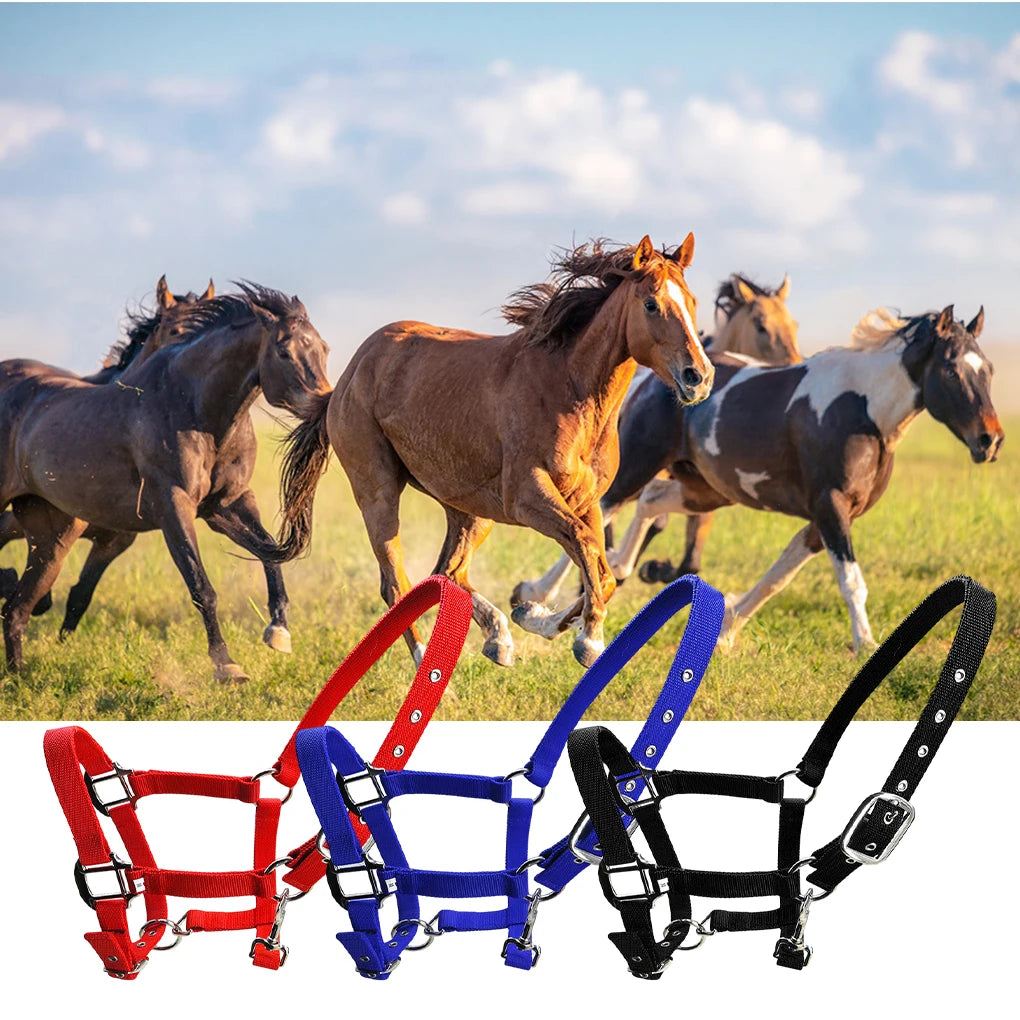 Padded Halter Horse