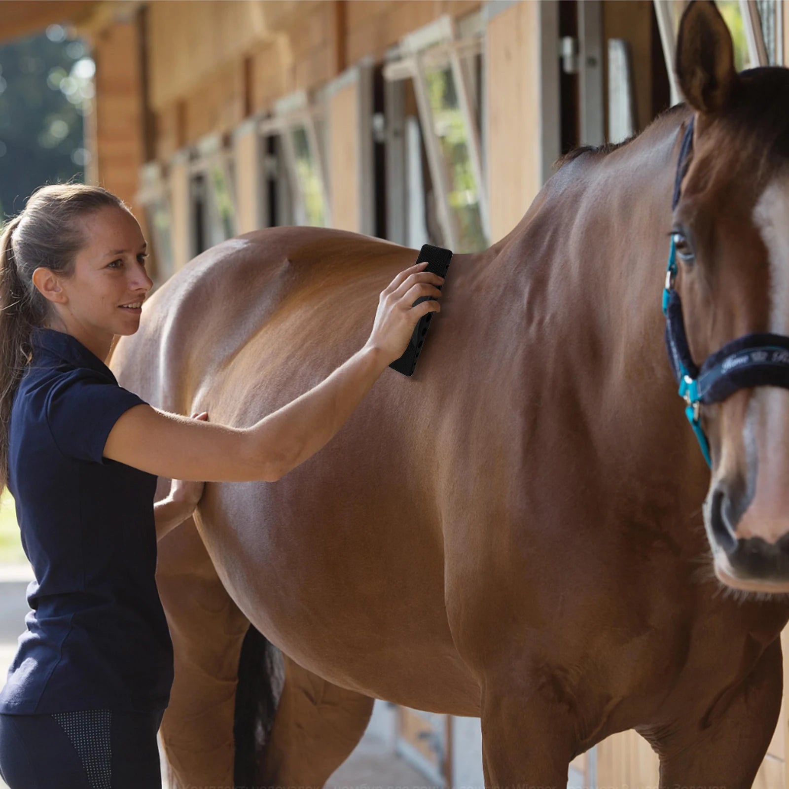 Horse Grooming Brush