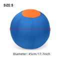 Animal Outdoor Ball Inflatable with pump