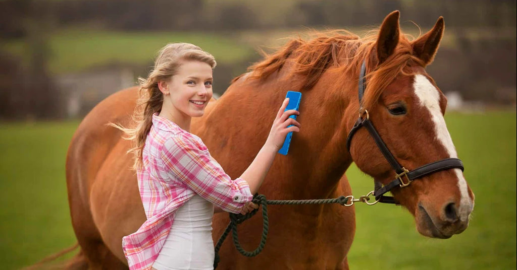 Horse Grooming Brush